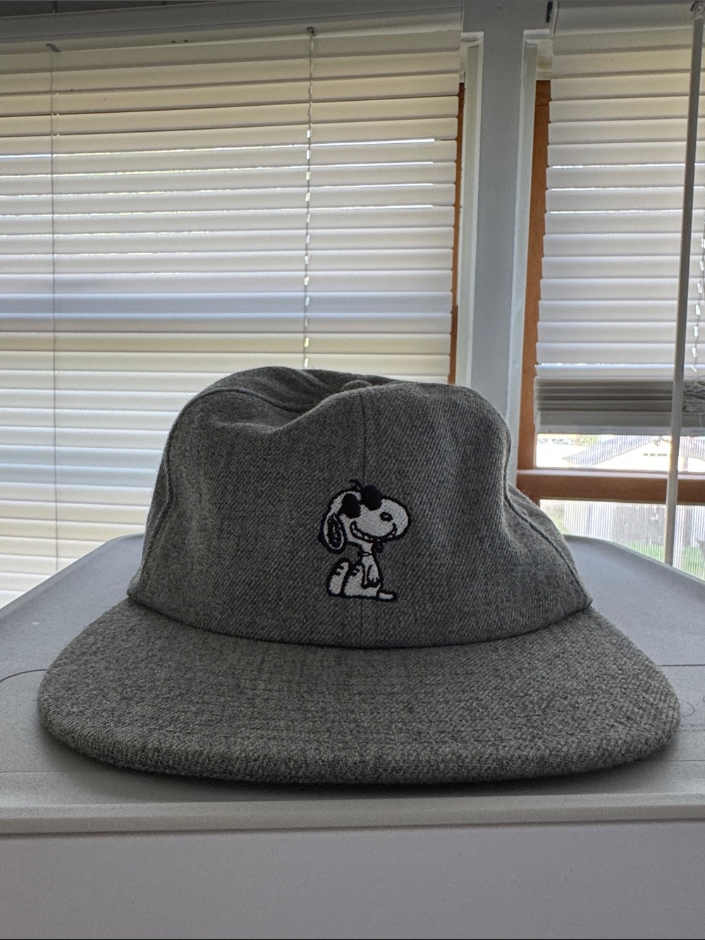 Gray Van’s x Peanuts 2017 Snoopy Embroidered Baseball Cap